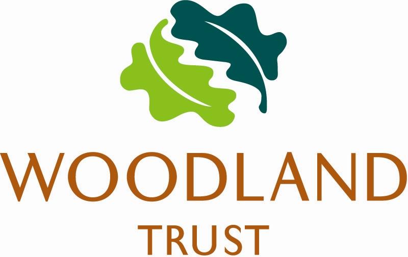 woodland_trust Woodland Turst Istoria Wood Floors by Jordan Andrews